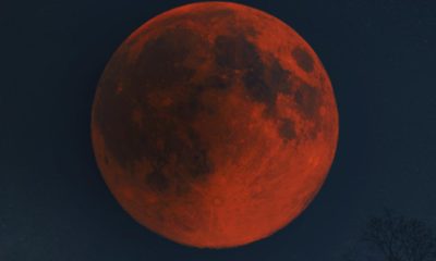 When you can see the August lunar eclipse in the UK