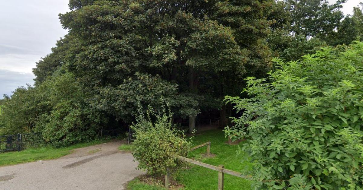 Four fire engines attend 'deliberate' fire in Errington Woods