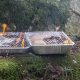 UK Government temporarily bans sale of disposable barbecues