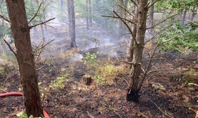 Cause of large woodland fire at Coundon Grange unknown