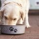 Years dog food recalled amid fears of causing eye issues
