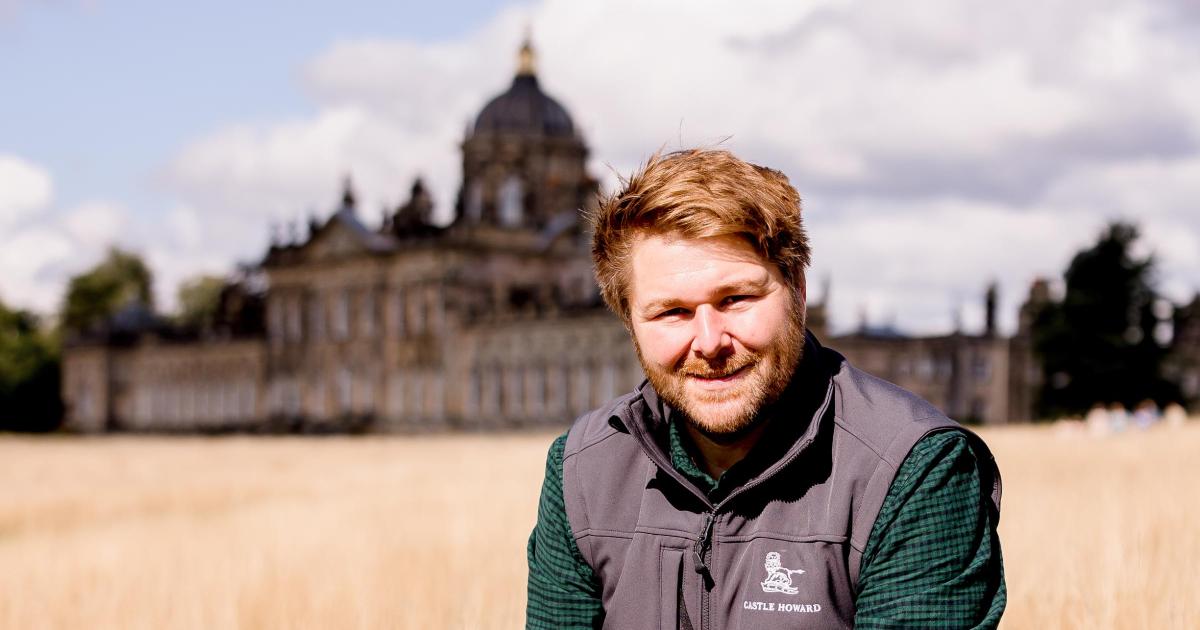 Castle Howard introduces rare White Park cattle onto estate