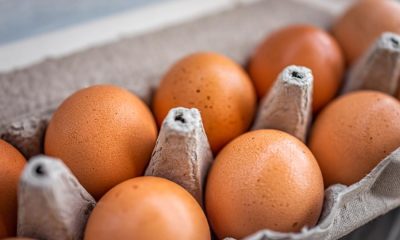 Food Standards Agency warning issued over runny eggs