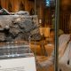 York attractions DIG and Barley Hall offer half-price entry