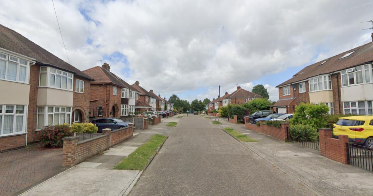 DeWalt tools stolen after burglary in Lumley Road, Clifton