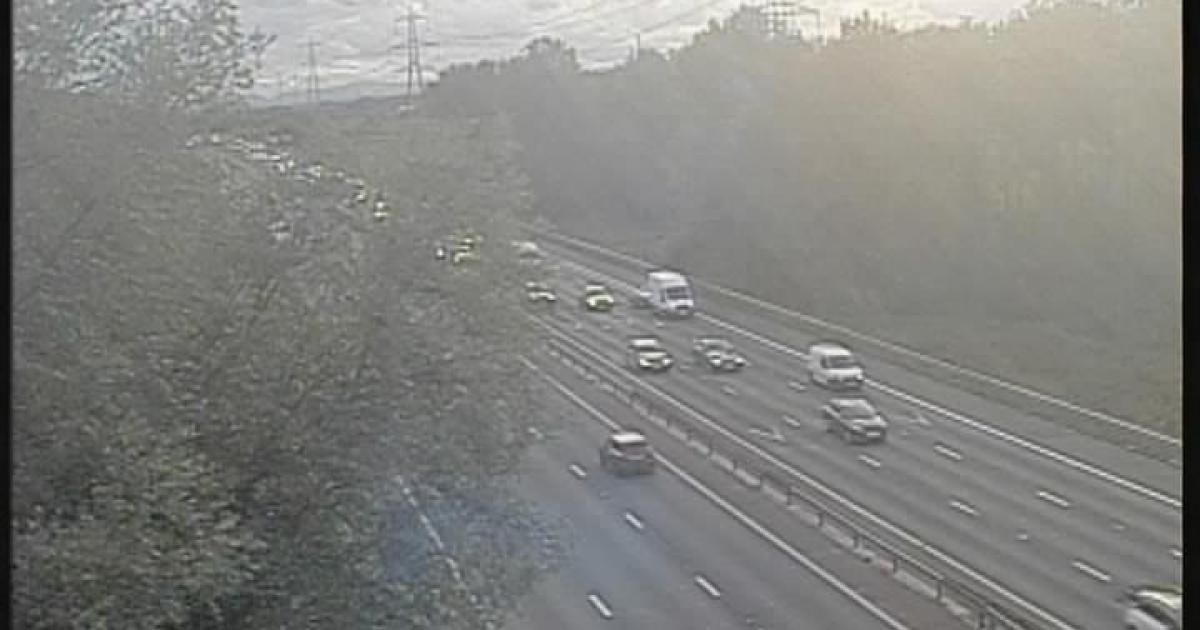 M56 police appeal after death of pedestrian 38 in the early hours