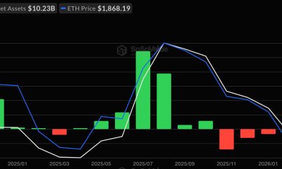 Ethereum ETF Monthly Flows