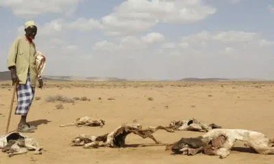 Climate crisis