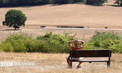 A man with his hands on his head sits on a bench and looks out at a parched field, with a tree in the middle distance