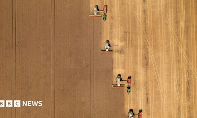 An aerial image of a brown field of crops being harvested by four combine harvesters