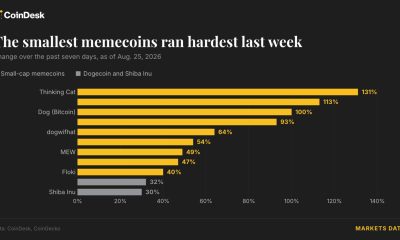 Crypto rally spills into dog and cat memecoins as smaller tokens double in a week