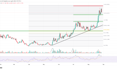 Top 3 Altcoins to Watch This Weekend After Record High Price Jump