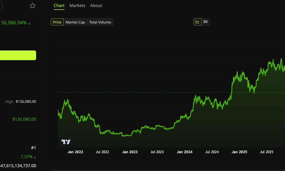 Bitcoin Price Performance. Source: BeInCrypto