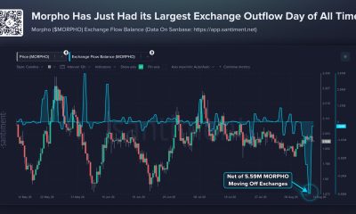 MORPHO Exchange Outflow Hits Record
