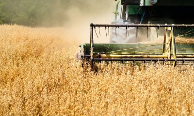 The crude-diesel price spread is wider than ever. BTC might feel it: Crypto Daily