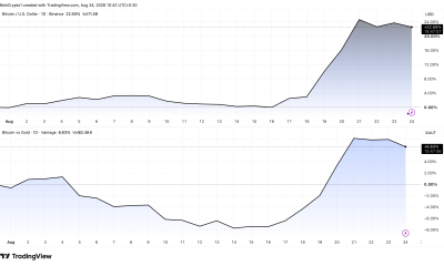 Bitcoin Price against USD and Gold.