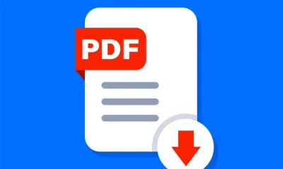 The origins of the PDF go back to the early 1990s.