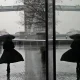 Science Explains Why You Can Smell Rain Before It Falls
