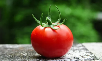 5 Foods That Help With Healthy Ageing (And 2 That Don't)