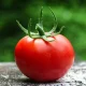 5 Foods That Help With Healthy Ageing (And 2 That Don't)