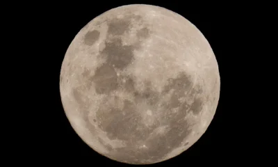 A SpaceX Rocket Is Thought To Have Crashed Into The Moon