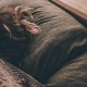 How To Pick The Perfect Pillow, According To Science