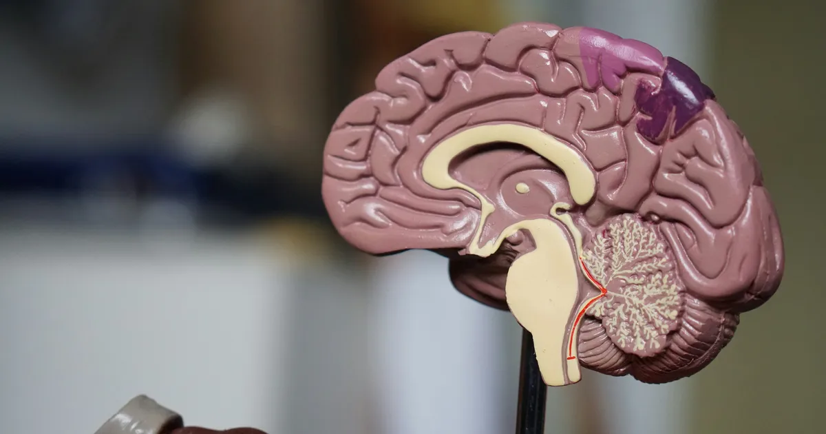 Dementia May Look Different For Women Than Men