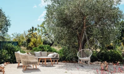 Creating shade is important as the summers get hotter.