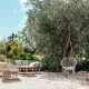 Creating shade is important as the summers get hotter.