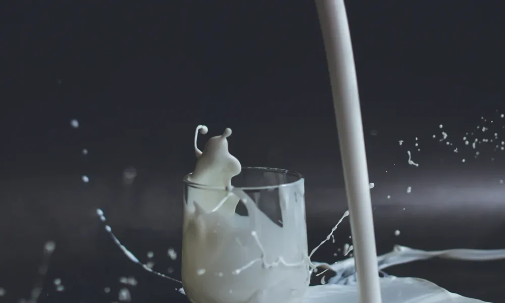 Full-Fat Dairy Might Just Be Good For Us, Study Finds