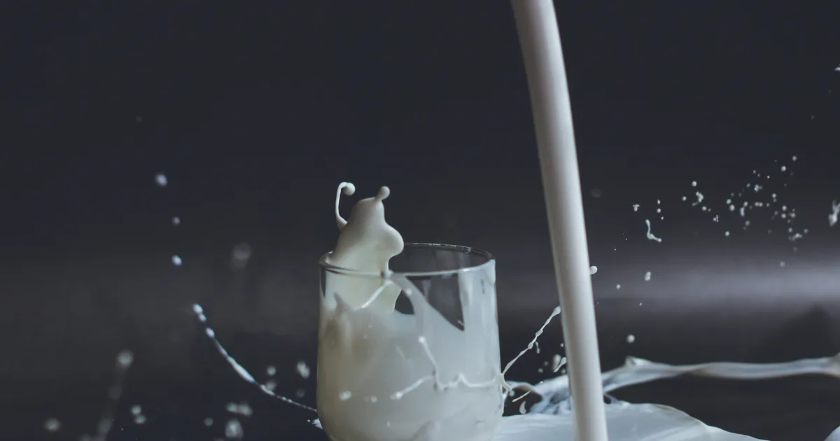 Full-Fat Dairy Might Just Be Good For Us, Study Finds