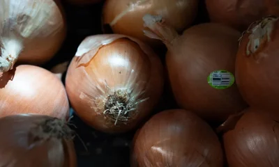 Science Explains Why Some Onions Make You Cry More Than Others