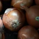 Science Explains Why Some Onions Make You Cry More Than Others