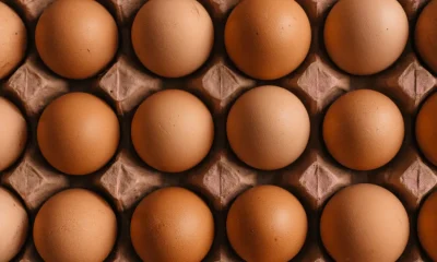 UK Salmonella Outbreak: Potential Cause And Symptoms To Look Out For