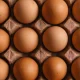 UK Salmonella Outbreak: Potential Cause And Symptoms To Look Out For