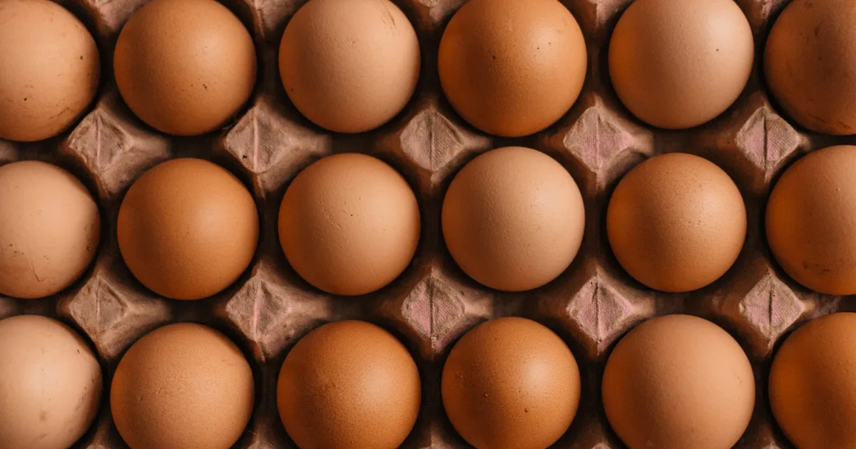 UK Salmonella Outbreak: Potential Cause And Symptoms To Look Out For