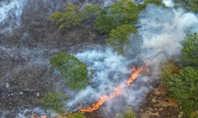 Brits Unimpressed By PM's Response To UK Wildfires And Droughts