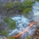 Brits Unimpressed By PM's Response To UK Wildfires And Droughts