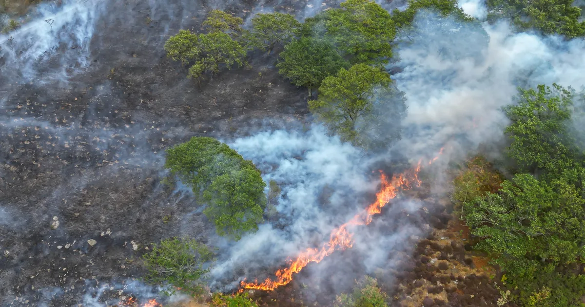 Brits Unimpressed By PM's Response To UK Wildfires And Droughts
