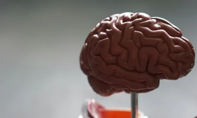 A Protein Might Lead To Dementia, But We Could Slow It