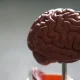 A Protein Might Lead To Dementia, But We Could Slow It