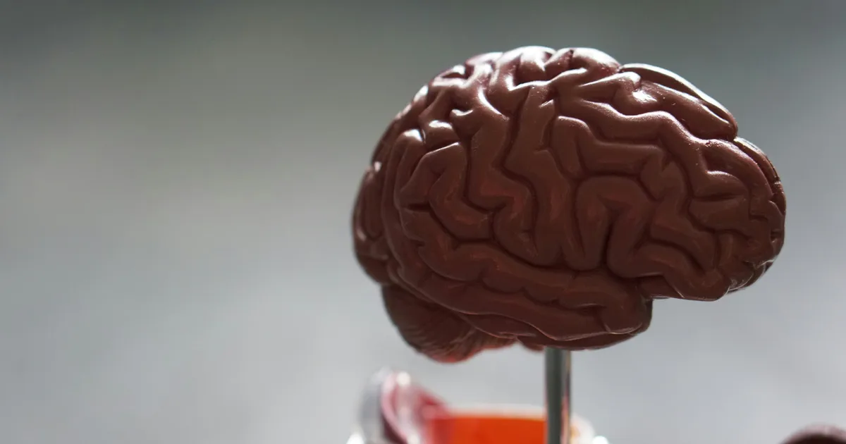 A Protein Might Lead To Dementia, But We Could Slow It