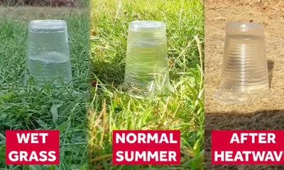 How Heavy Rain After Heatwaves Can Lead To Flash Floods