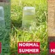 How Heavy Rain After Heatwaves Can Lead To Flash Floods