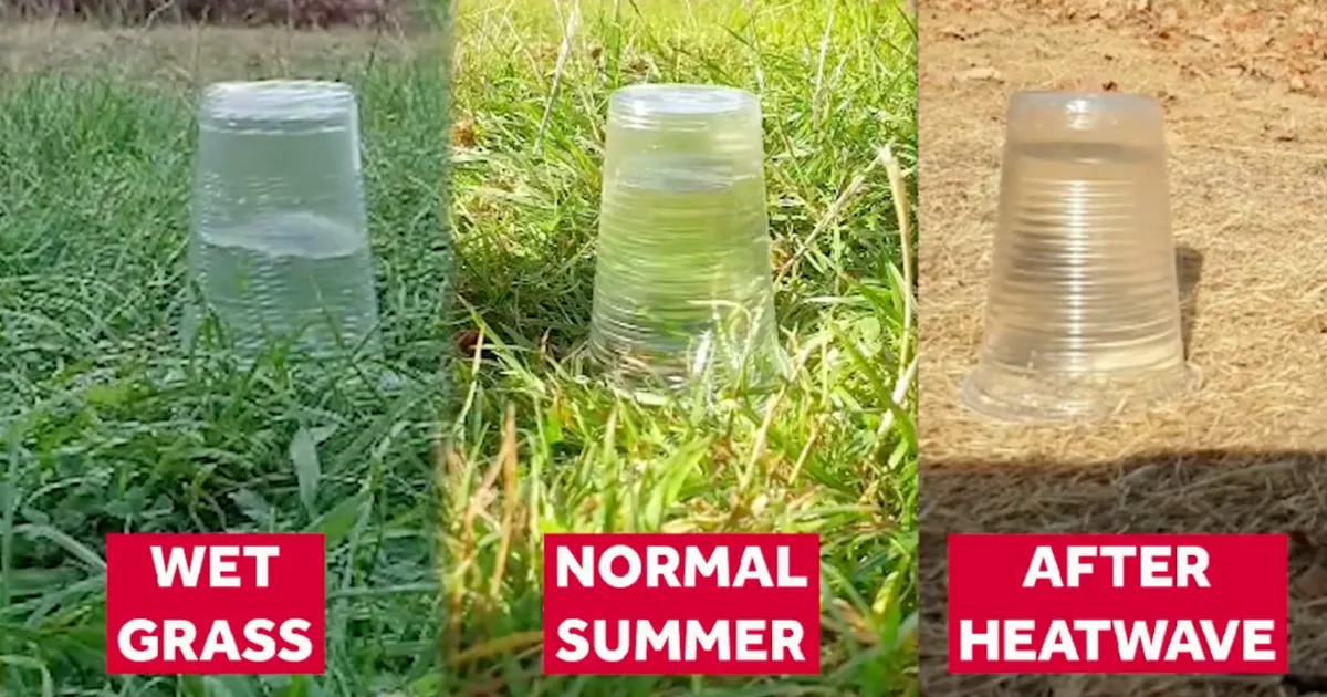 How Heavy Rain After Heatwaves Can Lead To Flash Floods