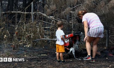 A woman and a toddler stand by charred ground and burned plants.