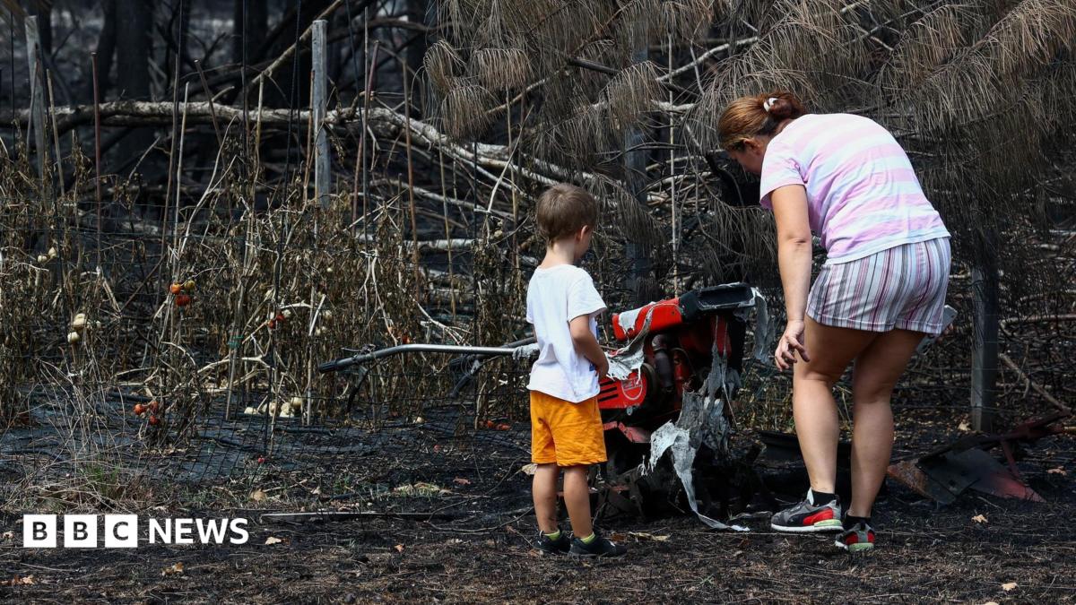 A woman and a toddler stand by charred ground and burned plants.