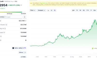 CybrLeek (CYBERLEEK) Price Performance. Source: CoinGecko