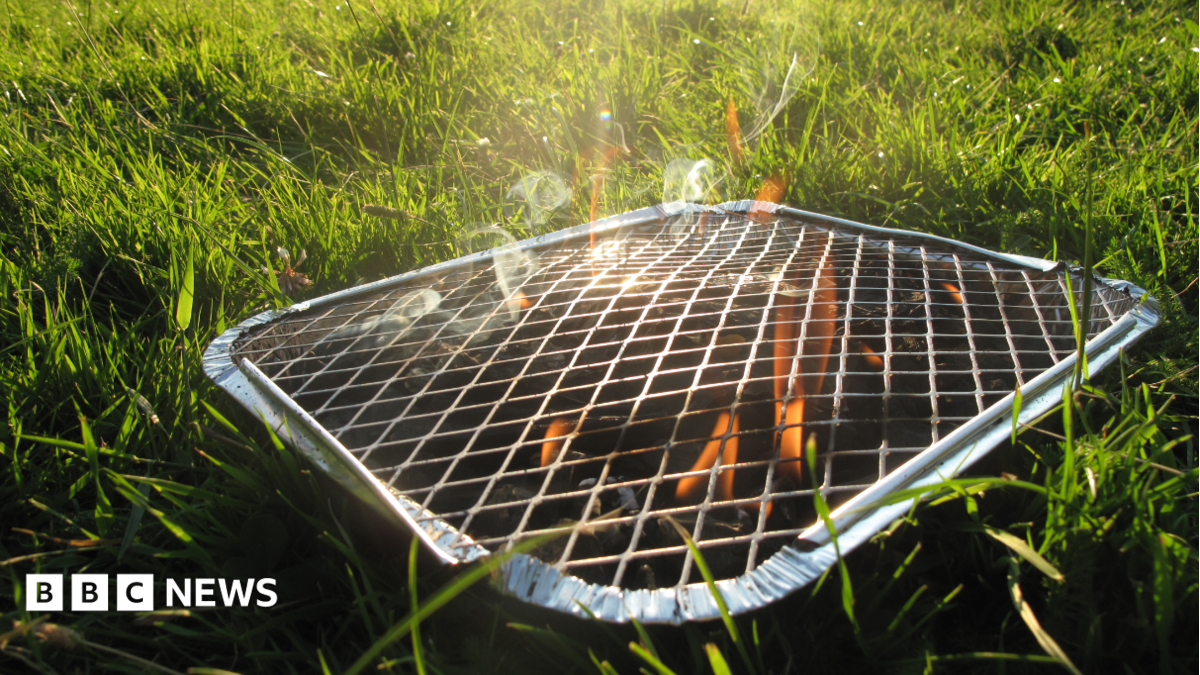 A disposable barbecue pictured in a park