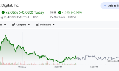 Bit Digital Stock Performance After Earnings